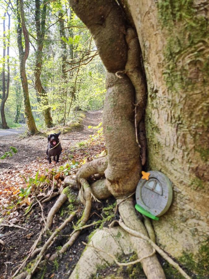 Old Road Cottage Pet Friendly Outdoors Beaches Neath Extérieur photo