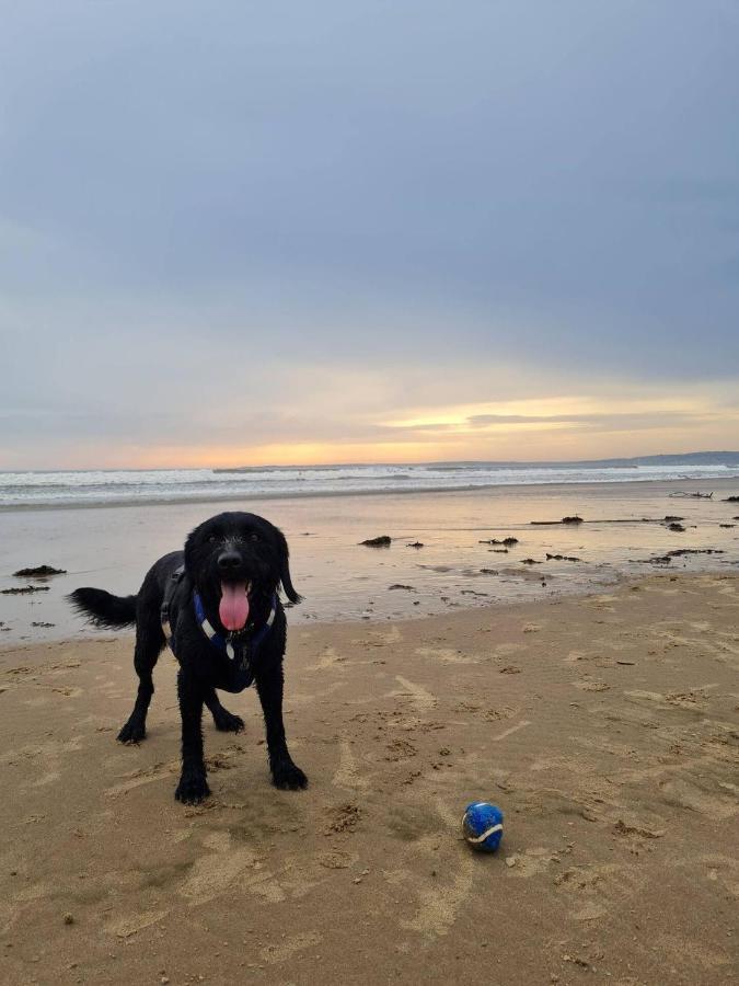 Old Road Cottage Pet Friendly Outdoors Beaches Neath Extérieur photo
